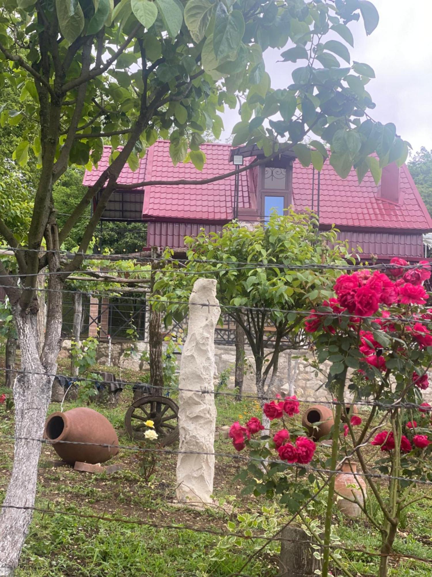 Kirta Hotel Gordi Luaran gambar