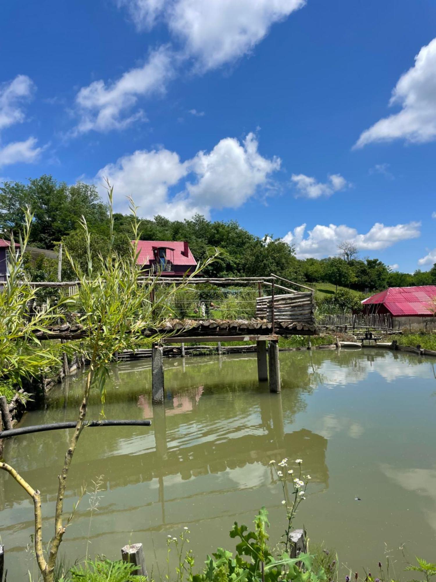 Kirta Hotel Gordi Luaran gambar